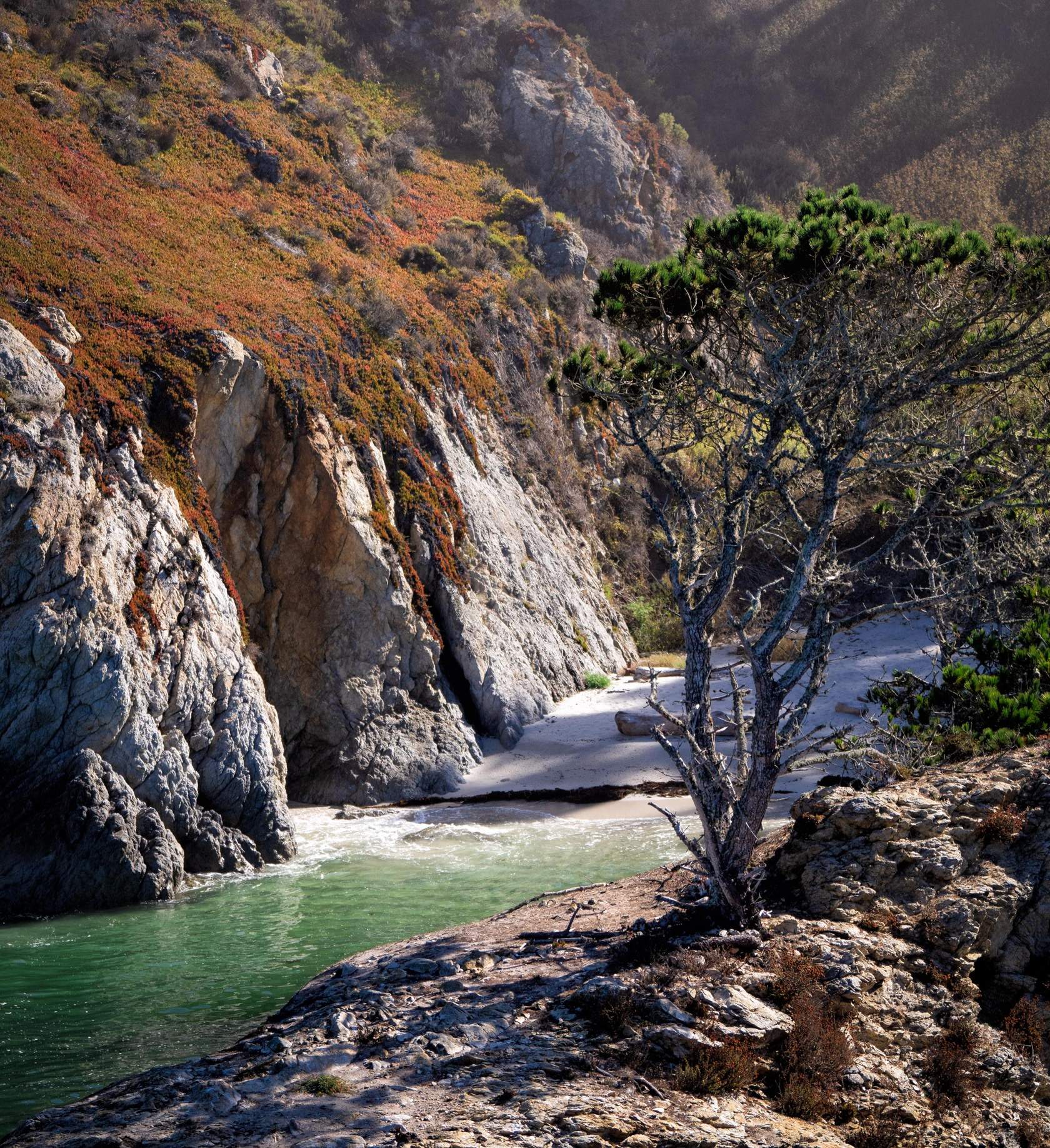 China Cove