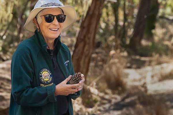 Docent with pine cone