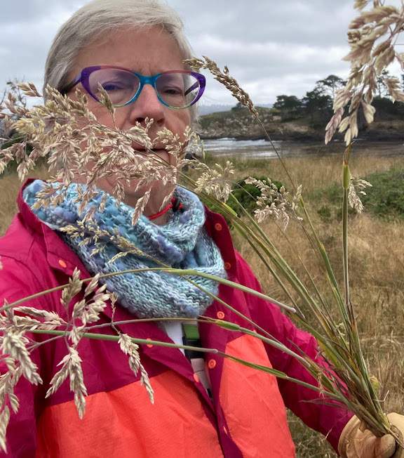 Non-native grass