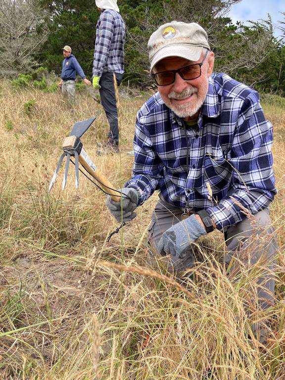 Volunteer weed puller
